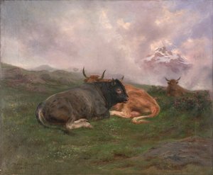 Bétail au repos sur une colline dans les Alpes