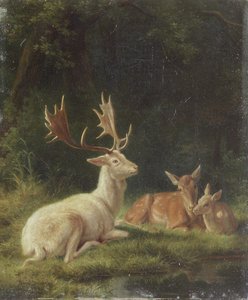Cerf dans un paysage