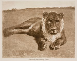  - Rosa Bonheur
