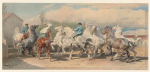  - Rosa Bonheur