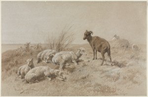 Moutons