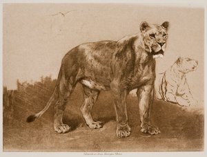  - Rosa Bonheur