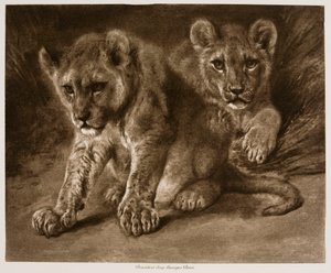  - Rosa Bonheur