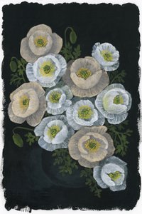 Élégantes fleurs de pavot - Rosana Laiz Blursbyai