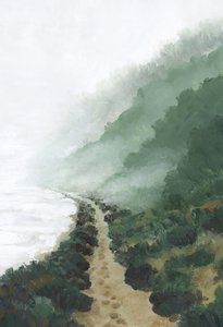 Sentier côtier brumeux