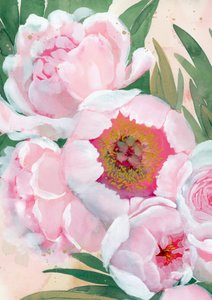 Fleurs de pivoine roses - Rosana Laiz Blursbyai