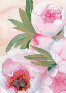 Fleurs de pivoine à l
