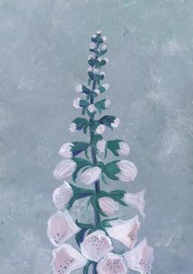 Fleur de digitale blanche - Rosana Laiz Blursbyai