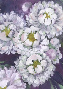 Fleurs de pivoine blanche - Rosana Laiz Blursbyai