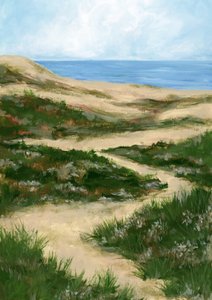 Sentier sinueux dans les dunes - Rosana Laiz Blursbyai