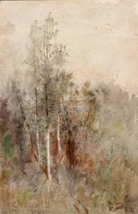 Une étude sur les arbres - Ross Turner