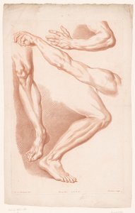 Différentes vues de deux jambes et deux bras
