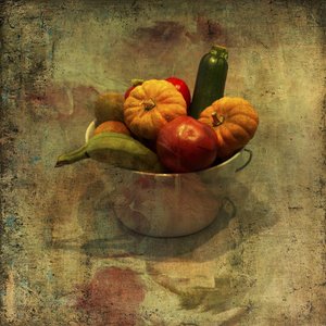  - Rudi Jacobs