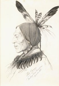 Heu-Topa, Quatre Cornes ou Jagoo, Le Conteur, Chef des Hunkpapa Sioux