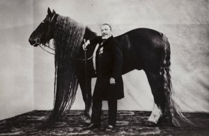 Artiste de cirque russe Akim Nikitin avec un cheval - Russian Photographer