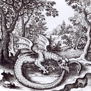 Un Dragon dans la Forêt, de 