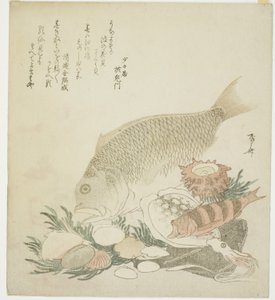 Poissons et coquillages