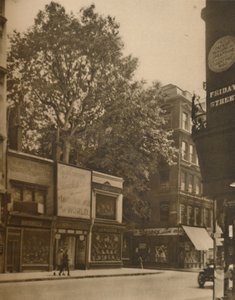 Un habitant favorisé de la ville : le platane à Cheapside, vers 1935