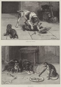 Chiens et nourriture - S.T. Dadd