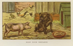 Gardez vos distances - S.T. Dadd