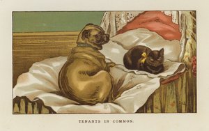 Locataires en commun