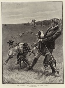 La réunion de la Coupe de Waterloo, A Rare Handful