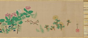 Fleurs et oiseaux des quatre saisons - Sakai Hoitsu