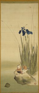 Iris et Canards Mandarins