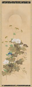 Lune et plantes d