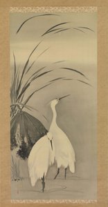 Deux aigrettes et lotus