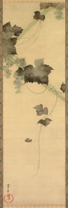 Vignes