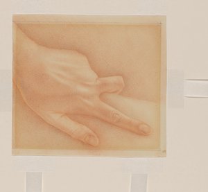 Main - Sally Lohr