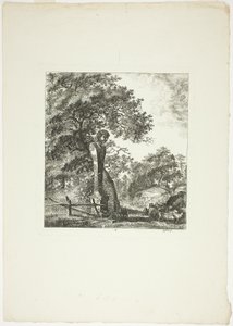 Mouton près d