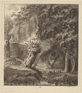 Paysage boisé avec un arbre émondé, 1764