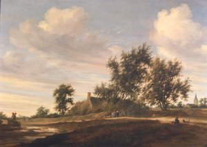 Paysage boisé étendu