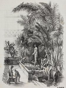 Laocoon et ses fils, statue romaine, lithographie de Salvatore Puglia de Poliorama Pittoresco, n 1, 13 août - Salvatore Puglia