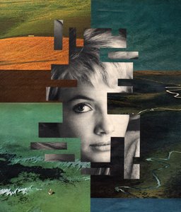 Le visage fragmenté de la nature