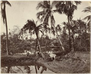 Scène de village au Bengale, Inde