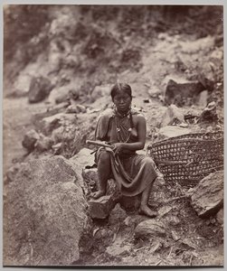 Femme Lepcha (numéro 1908)