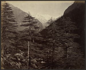 Pics enneigés près de Gangotri, depuis Bhairamghati - Samuel Bourne