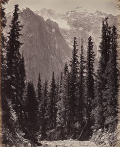  - Samuel Bourne