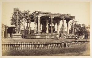 Le grand Taureau de pierre, Tanjore