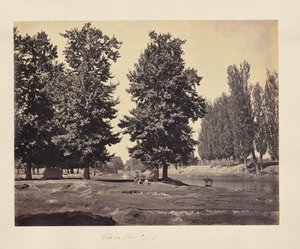 Vue sur le canal Dhul - Samuel Bourne