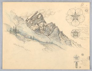 Antelao, depuis Cortina, avec études de fleurs