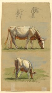 Bétail, deux vaches broutant et les dos des veaux - Samuel Colman