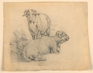 Dessin, étude. Deux béliers, vers 1850 - Samuel Colman