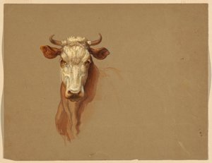 Dessin, deux études.  Bétail, 1876 - Samuel Colman