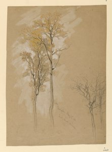 Chênes, Lady Wood Lane, Irvington