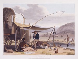 Paysages et animaux africains au Cap de Bonne-Espérance