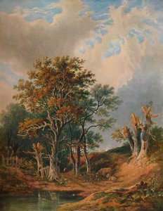 Paysage, 1847 - Samuel David Colkett